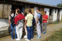 Praktična nastava za učenike Mačvanske srednje škole na hipodromu u Bogatiću