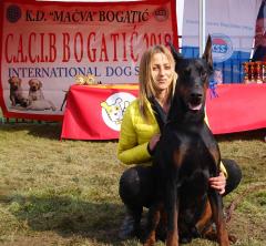 Najlepši pas VII Međunarodne izložbe CACIB Bogatić 2018 - Pride of Russia Chingay